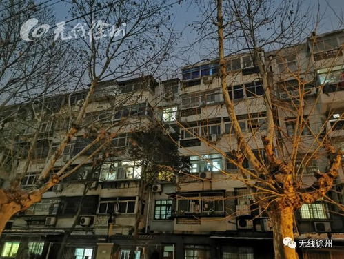 徐州歲月 1983年,在老街的平房里,我們這樣過