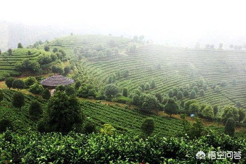 到桂林旅游,你最想去哪個景區玩