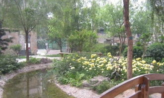 圖 牡丹園知春路新出大量房源 主臥 次臥獨衛 溫馨舒適 干凈整潔 北京租房