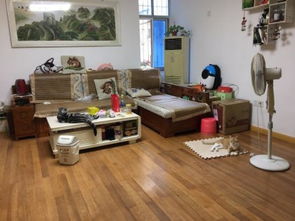 七里新村 通透中裝2房 配套齊全 臨墨水湖公園 好地好生活