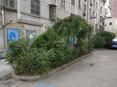 開發新村圖片相冊,上海開發新村實景圖 室外圖 小區配套圖